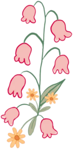 Pink lily-of-the-valley flowers