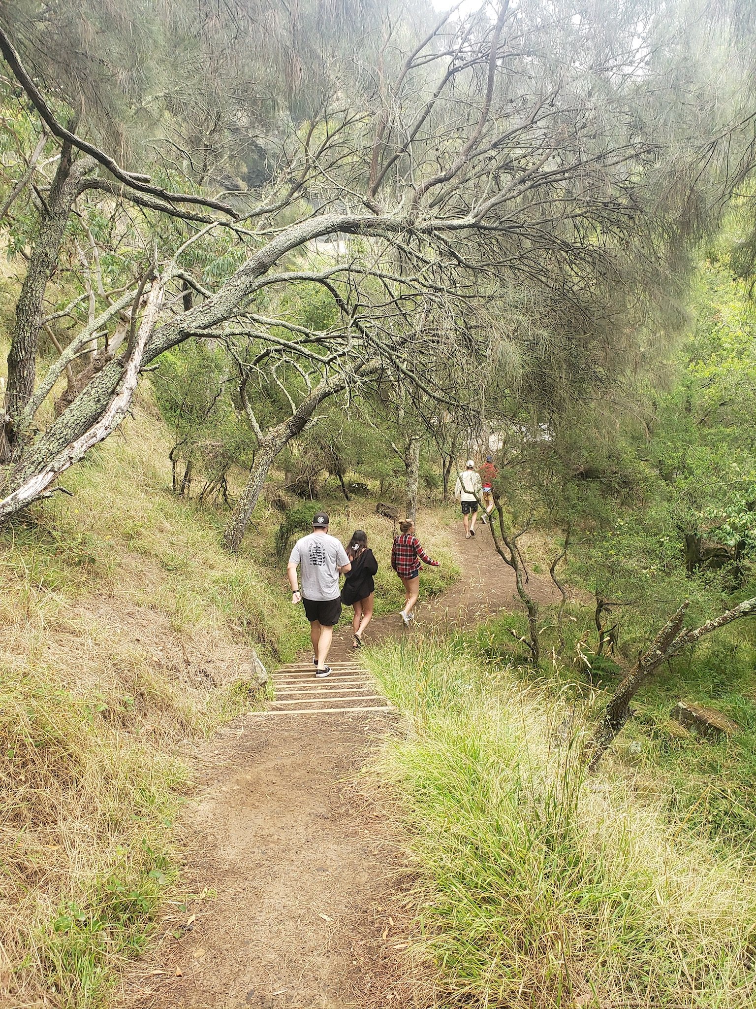 Friends walking down a steep, wooded track toward the coast.