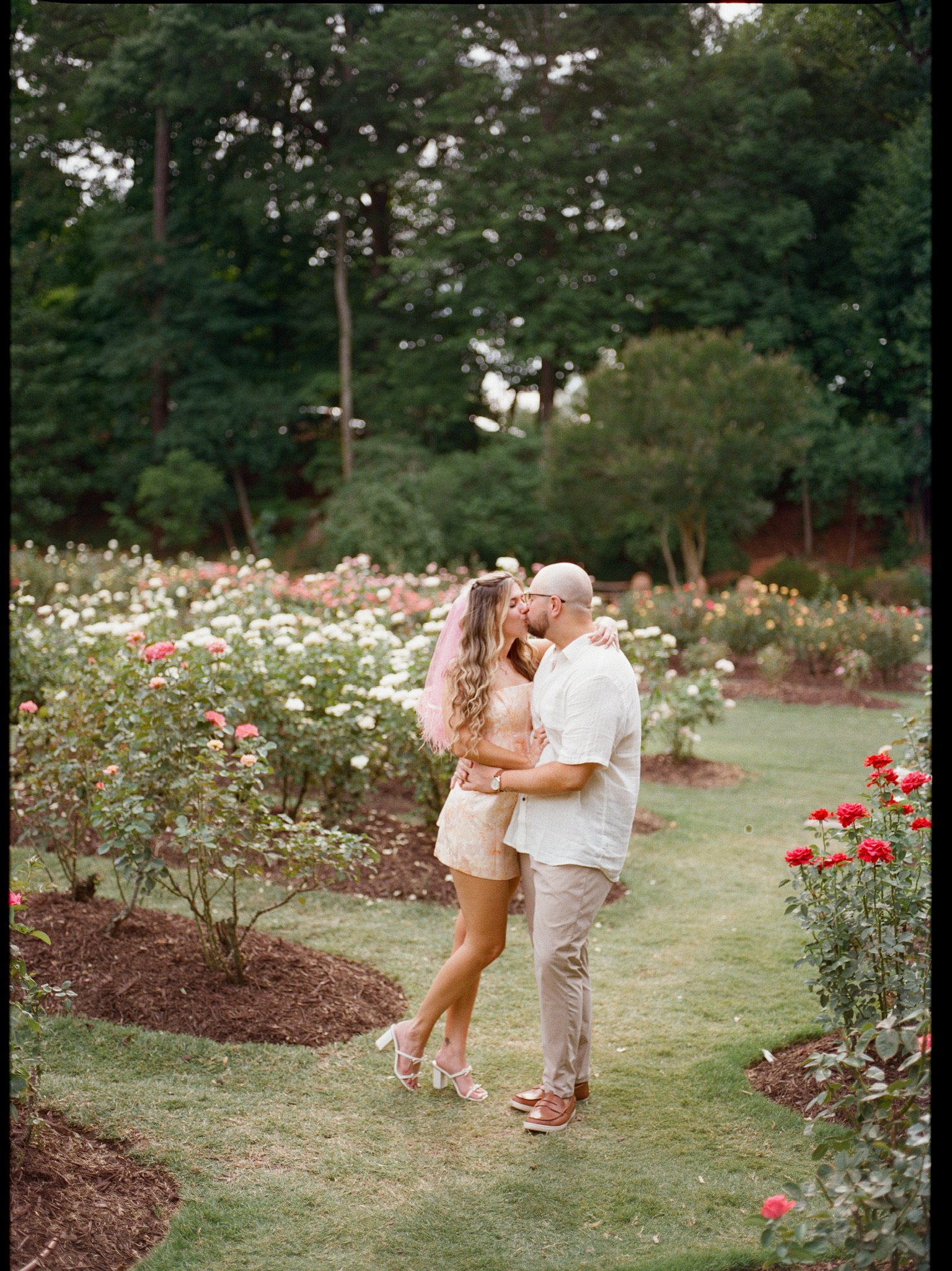 Nicole and Ian kissing on a grass path through the rose beds, trees towering behind.
