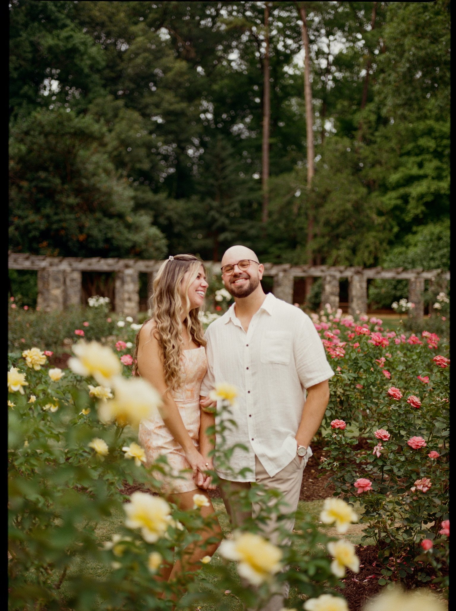 Nicole and Ian standing together behind a bank of yellow roses, laughing at each other.