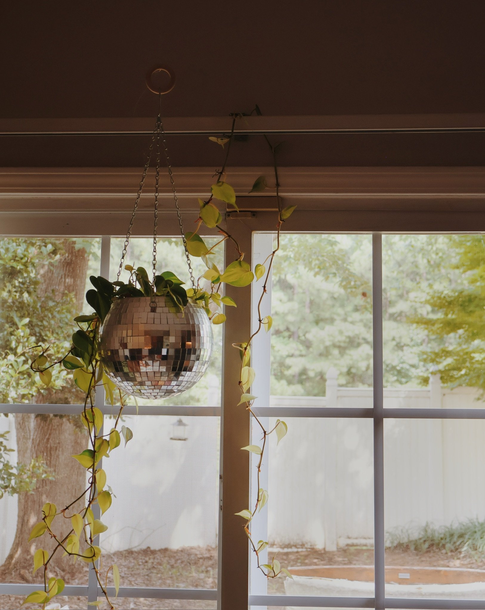 A small disco ball hanging in a window with a trailing plant.